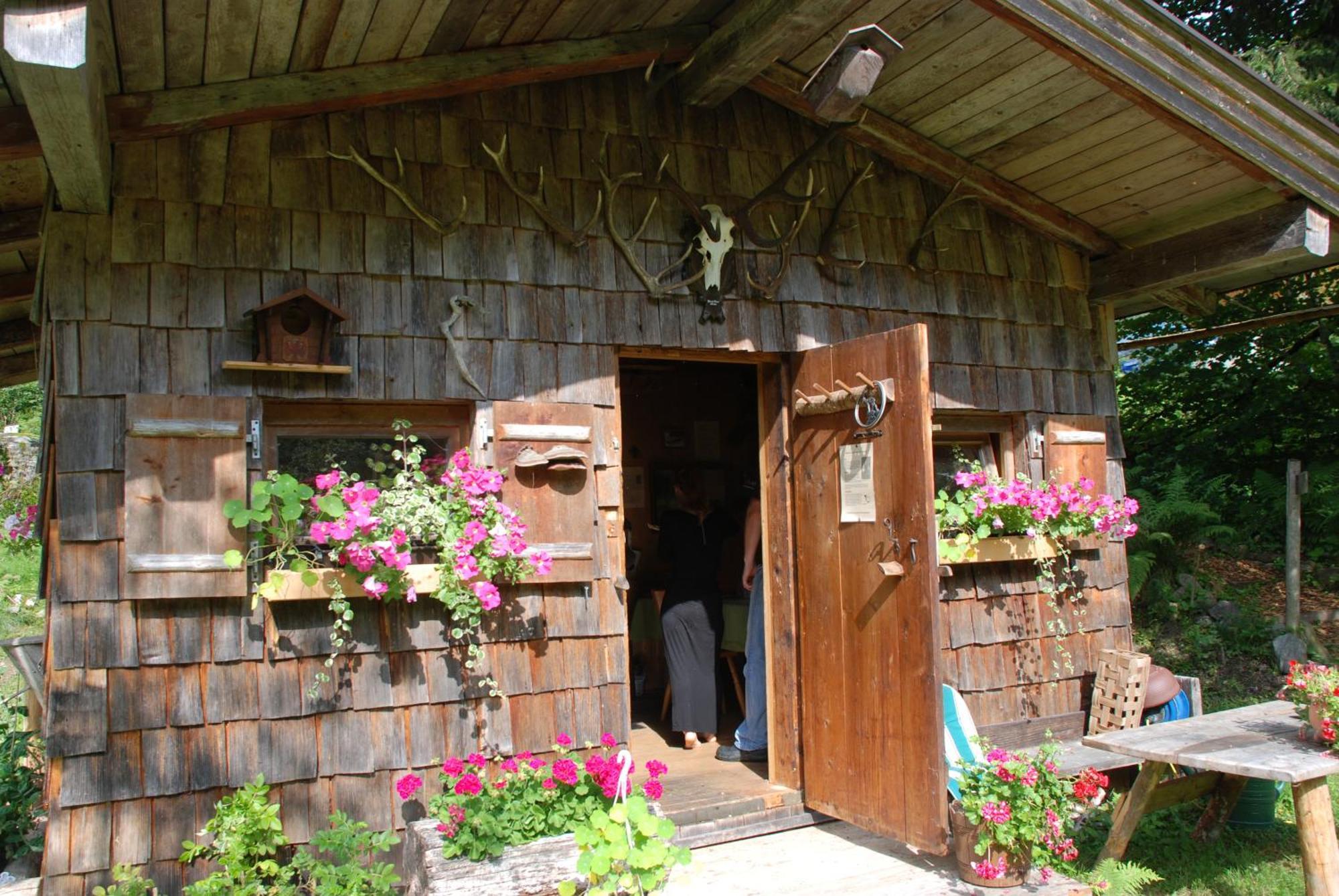 Gasthaus Steinberg Westendorf Eksteriør bilde