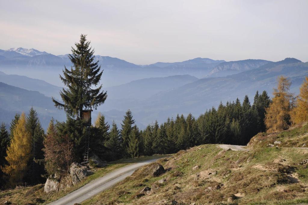 Gasthaus Steinberg Westendorf Eksteriør bilde